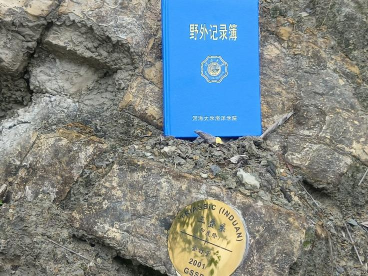 J9直营集团