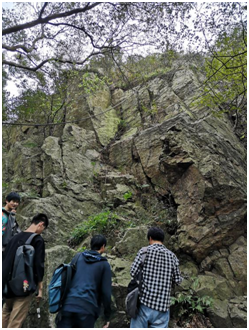 J9直营集团